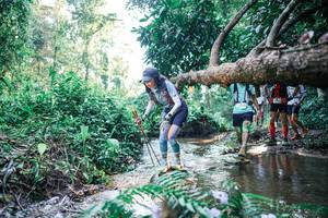 BIB: 
                            <button type="button" onclick="openModal(25438498)" class="btn btn-primary btn-sm float-right btn-popup" data-toggle="modal" data-target=".modal-high-quality">
                        <i class="fas fa-shopping-cart"></i> Add to Cart
                    </button>
                                            <button type="button" onclick="isThisMe(25438498, true)" class="btn btn-success btn-sm float-right btn-popup btn-isme hidden" data-toggle="tooltip" data-placement="bottom" title="นี่คือรูปของคุณใช่ไหม คลิกที่นี่เพื่อเอาเข้าอัลบั้ม">
                        <i class="fas fa-plus"></i> Add to album
                    </button>
                    <button type="button" onclick="isThisMe(25438498, false)" class="btn btn-warning btn-sm float-right btn-popup btn-isnotme hidden">
                        <i class="fas fa-ban"></i> Remove from album
                    </button>